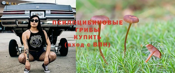 дмт Бугульма