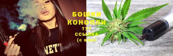сатива Богородицк