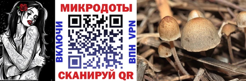 Галлюциногенные грибы GOLDEN TEACHER  Купино 